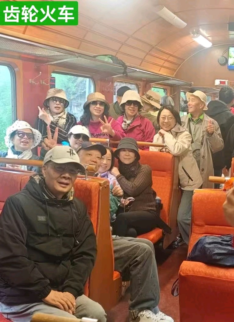 【首都文学】高宗义*|*阿尔卑斯雪山观光记，登上“欧洲屋脊”少女峰（图18）