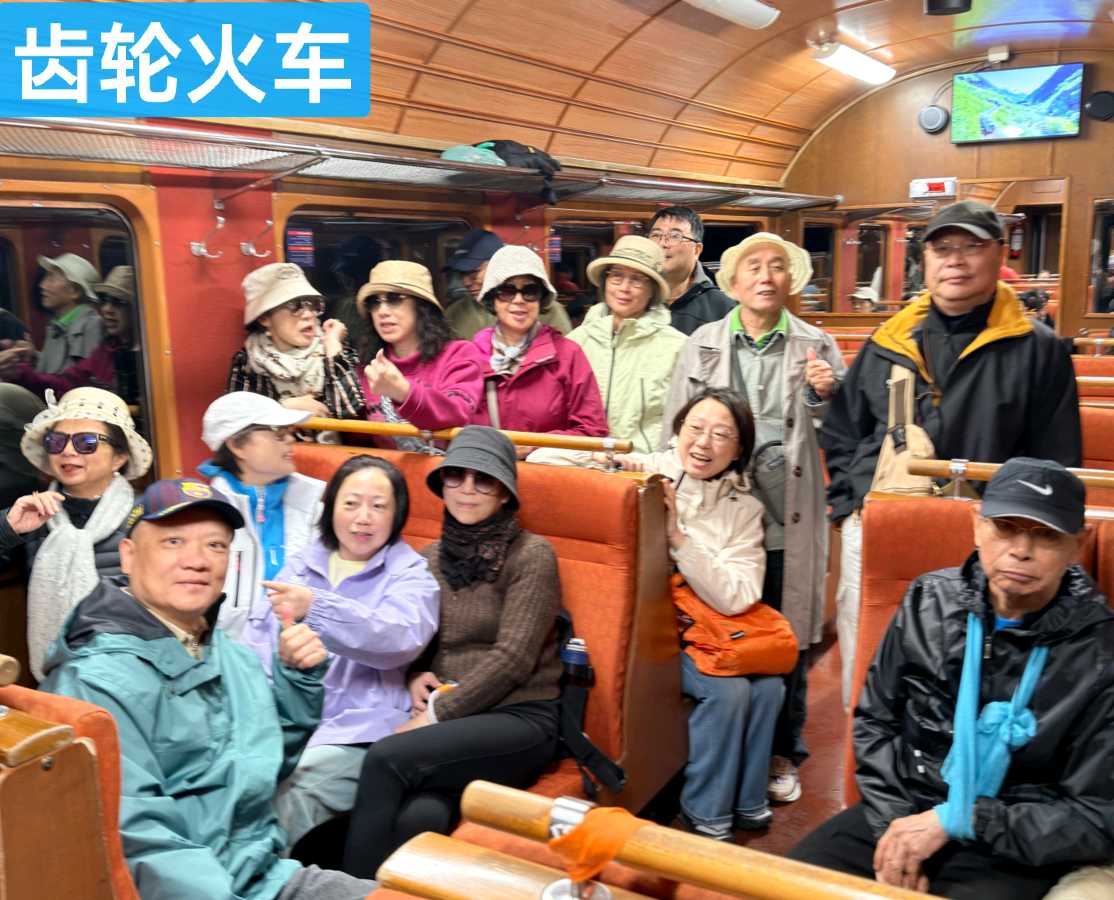 【首都文学】高宗义*|*阿尔卑斯雪山观光记，登上“欧洲屋脊”少女峰（图19）