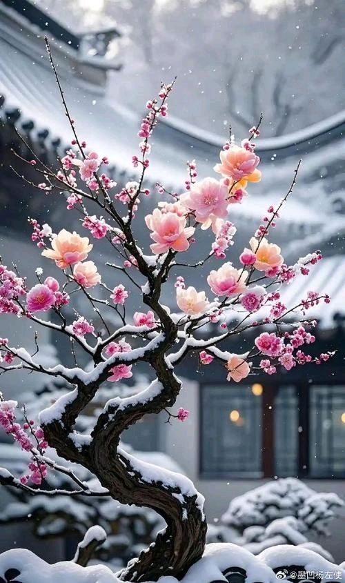 杨玉才咏花诗词/中华诗艺社黑龙江分社推荐【2026第286期】（图32）