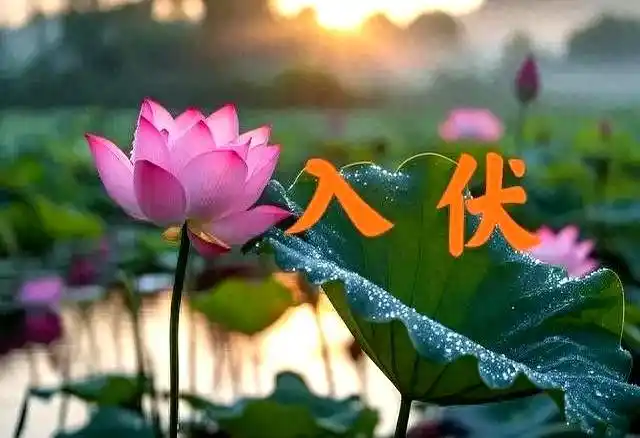 【国风燕赵诗社】2026年第18期(总第81期)综合刊与您共享!(图50)