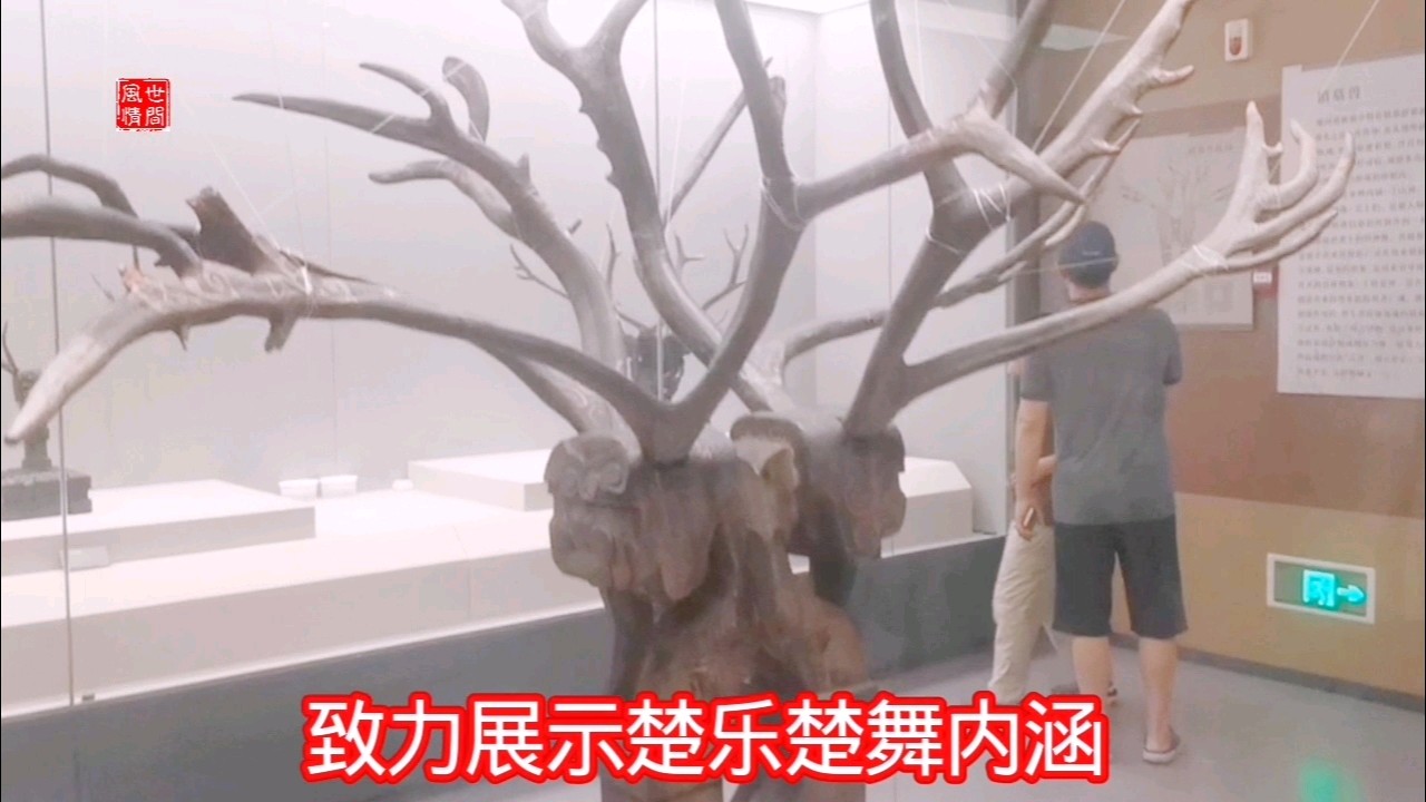 【荆州活动专题21】走进荆州博物馆●世间风情（图13）