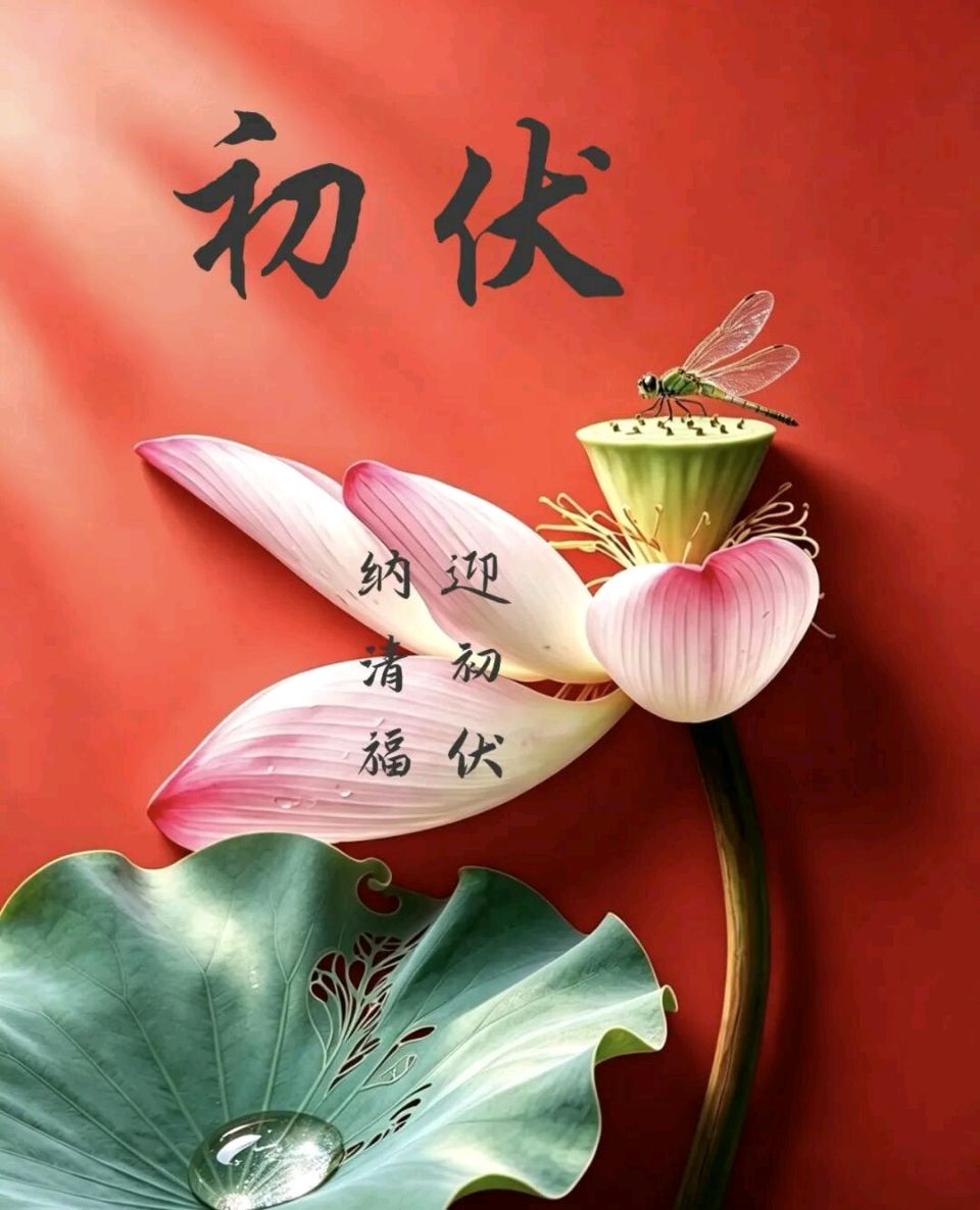潇湘神·初伏即兴金夜（兰州）（图3）