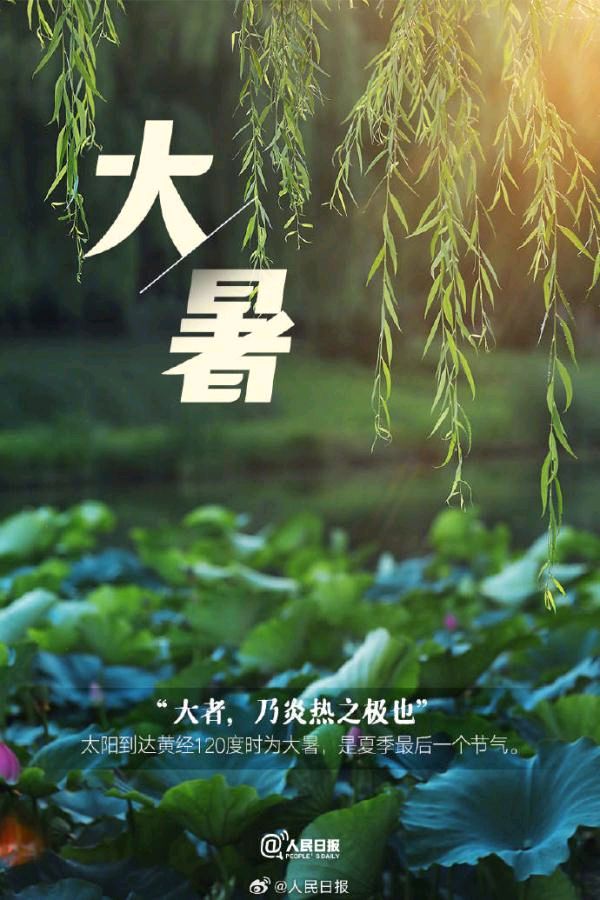 【荣耀中国】文学社*大暑作者/张国瑾(甘肃)（图4）