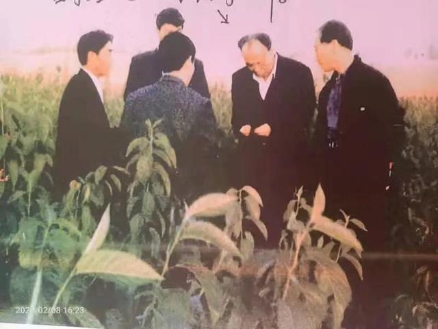 文章图片5