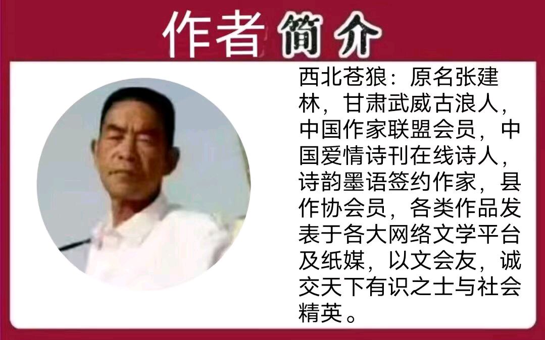 《雨中赏荷的姑娘》作者/西北苍狼 主播/拾柴女生 主编/胡琴（图5）