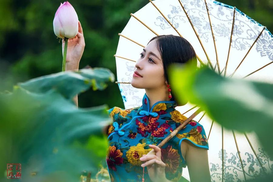 《雨中赏荷的姑娘》作者/西北苍狼 主播/拾柴女生 主编/胡琴（图4）