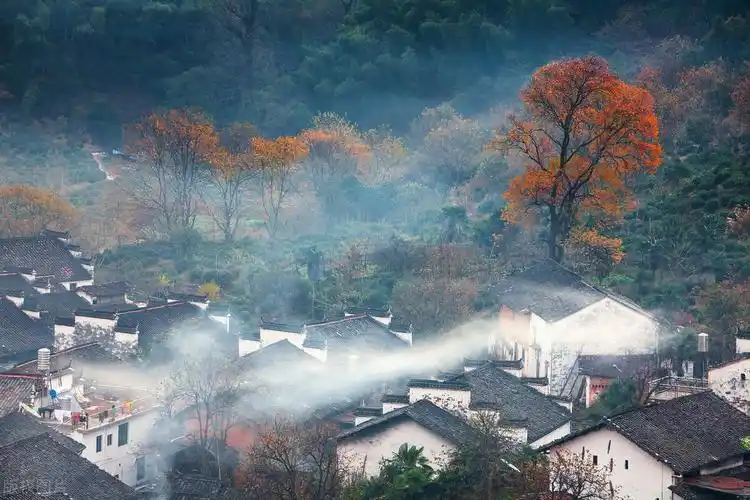 敬请欣赏||两个月经历与感悟 作者:肖述长（图5）