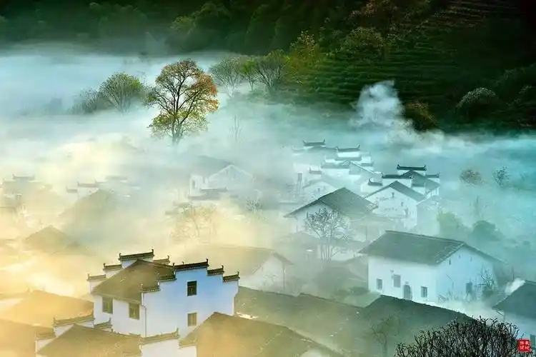 敬请欣赏||两个月经历与感悟 作者:肖述长（图9）