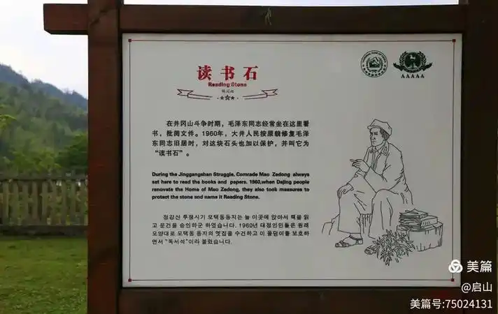 草原雄鹰诗社2026第25期精美小诗作品展播《读书石》作者/草原雄鹰诗社诗人（图22）