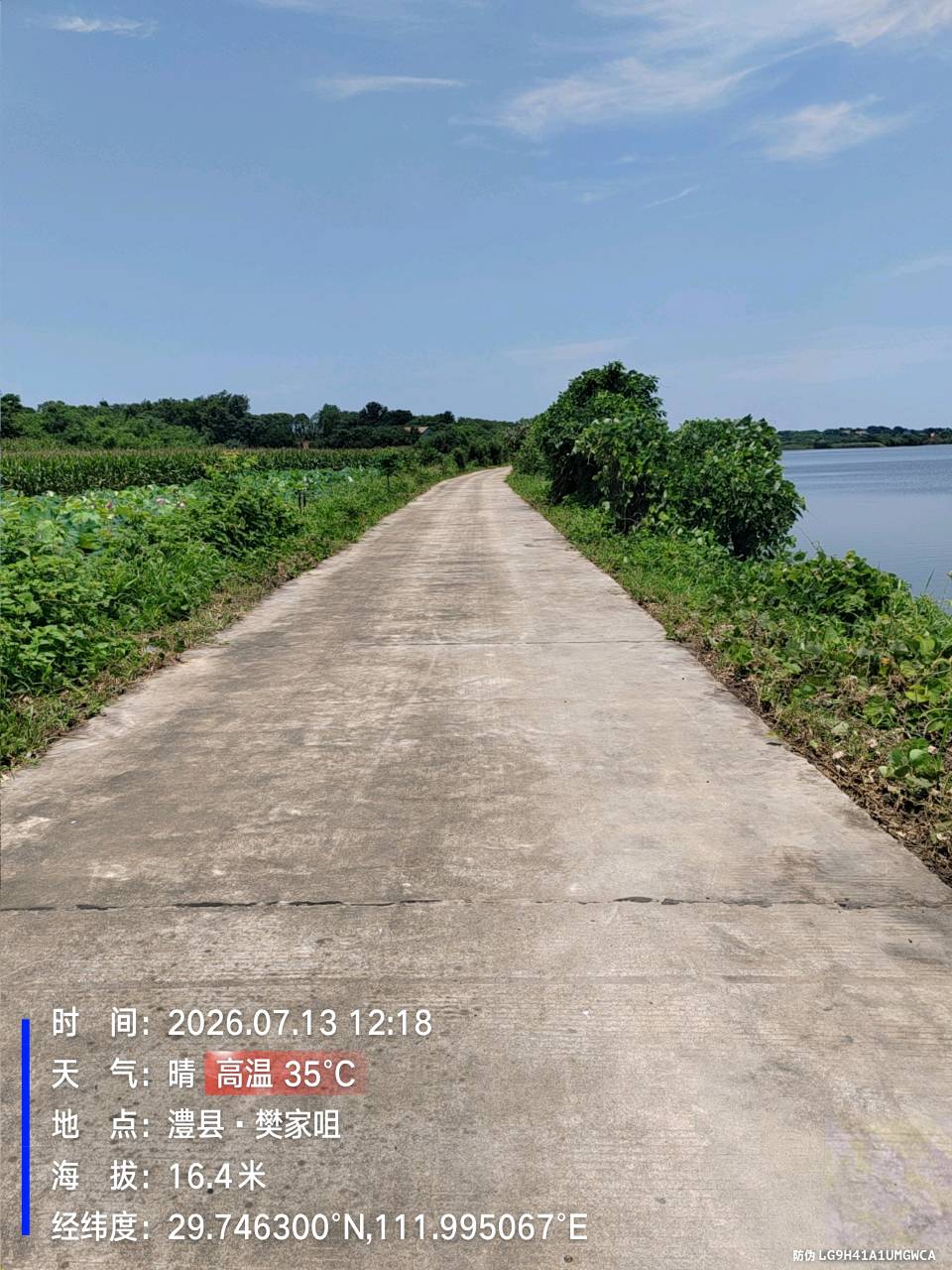 党群同心清道路 烈日攻坚保出行——如东镇驰马岗村完成马公湖环湖道路杂物清理工作(图2)