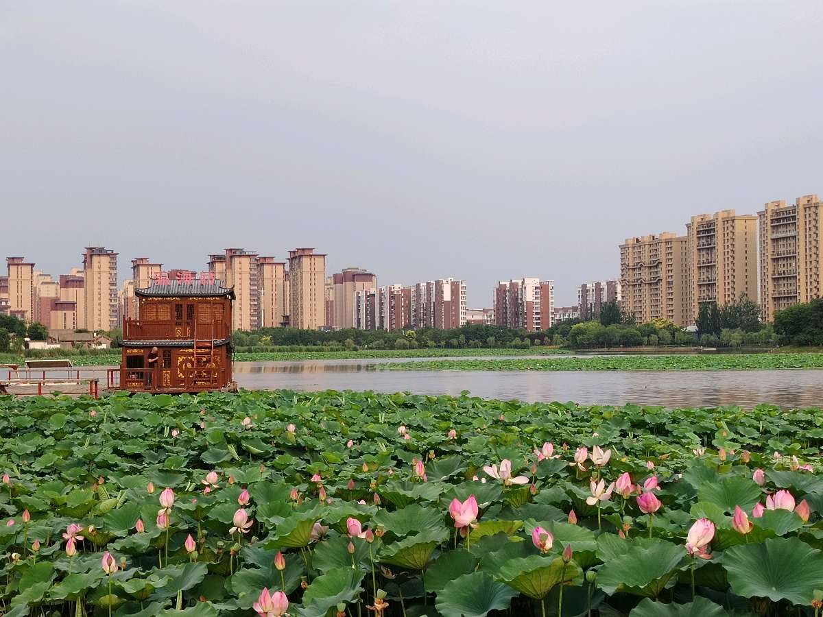 《中秋无月二首》外12首  诗人刘哲崇  中华诗经阁编委
