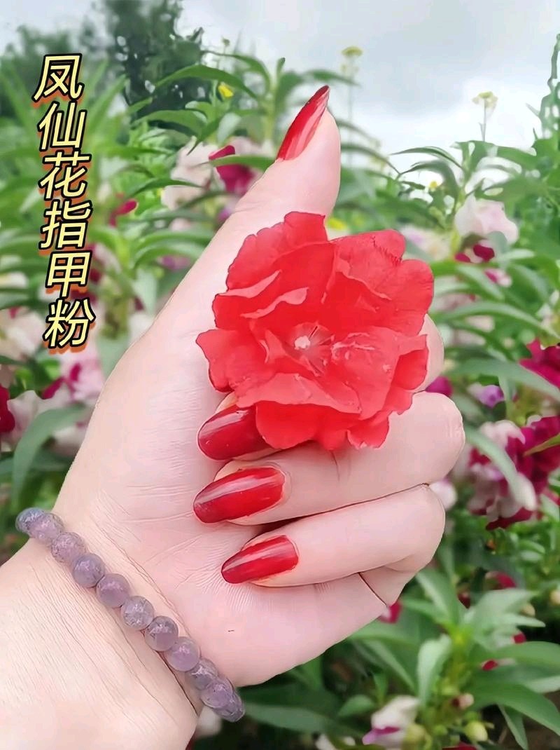 韵海论坛傅贺楠简评杨玉才《十阕浣溪沙》（图11）
