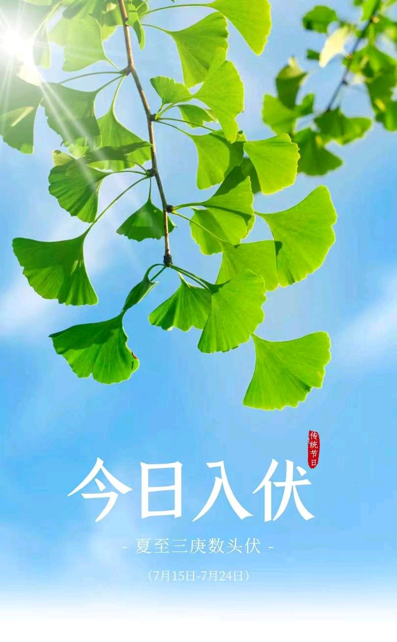 【荣耀中国】深圳分社*菩萨蛮·入伏三章刘元璋(湖北黄石)(图3)