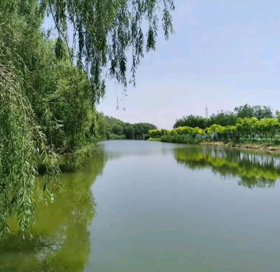 【诗词书画群英社】七律*茶山胜景(新韵)作者/王楼(内蒙古)(图8)