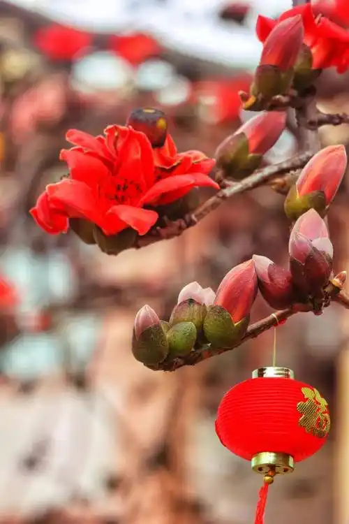 七绝·曹文杰赞 （ 中华新韵 ）藏头诗 作者/周凰（图2）
