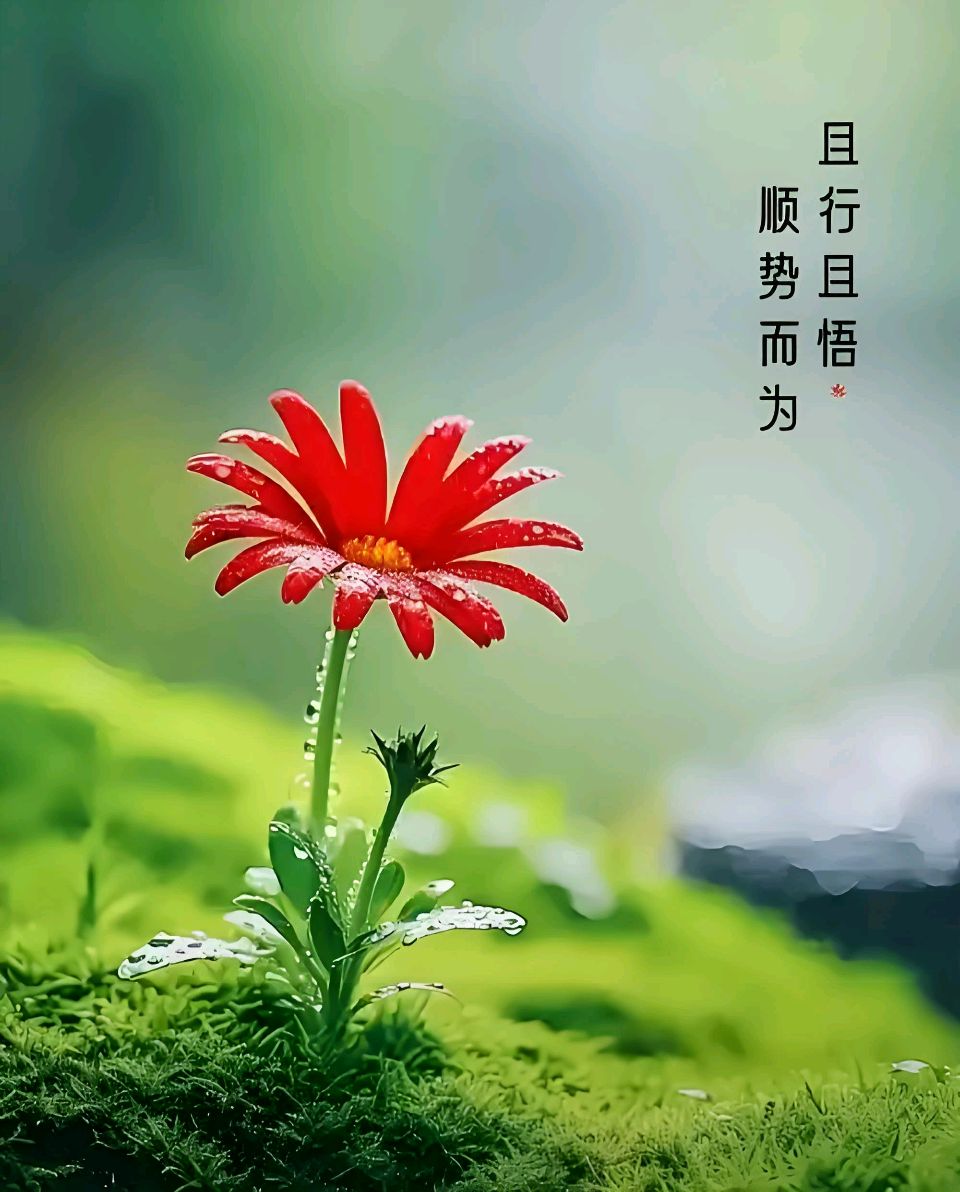 欣赏铁裕老师散文·心地善良 便是修福(图4)