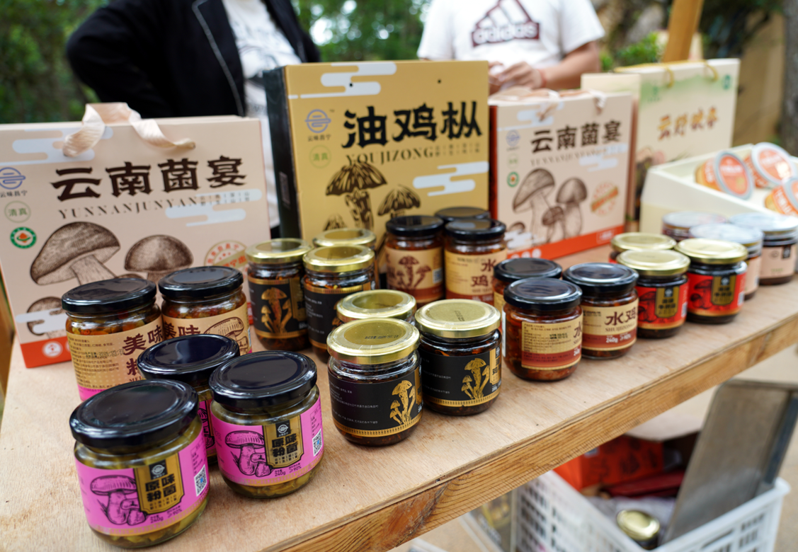 云南保山‖举办“有一种叫云南的生活”——“绿满昌宁·生态富民”绿色高质量发展新闻发布会（图4）
