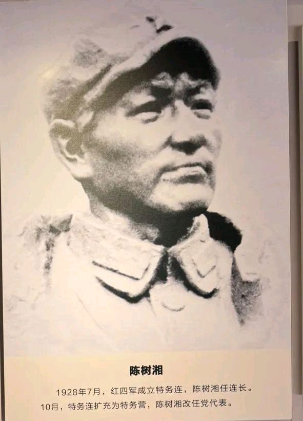 聆听 ‖ 杨秀辉朗诵《“断肠明志”的铁血将领陈树湘》作者/五彩云霞（图8）