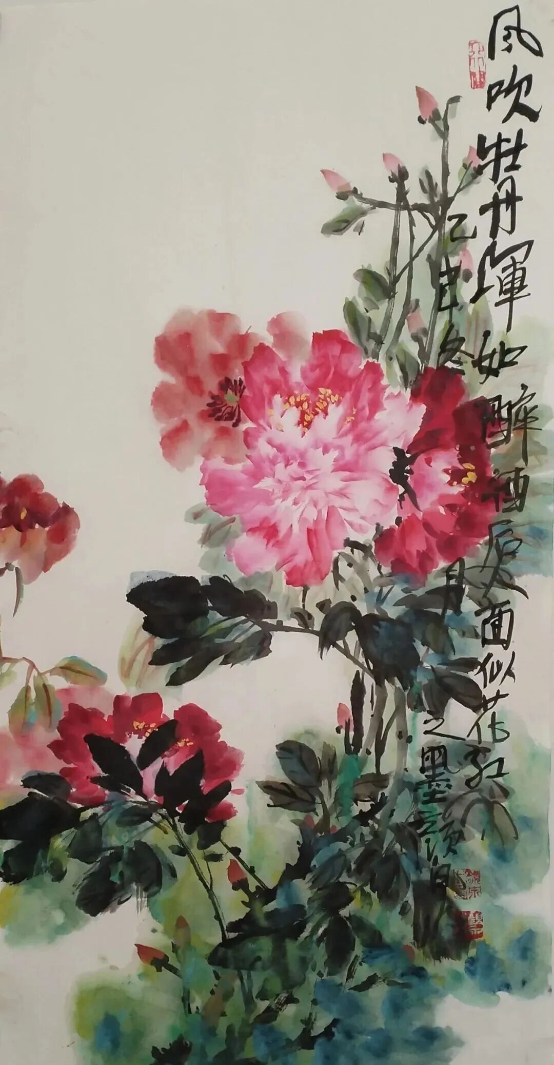 图片