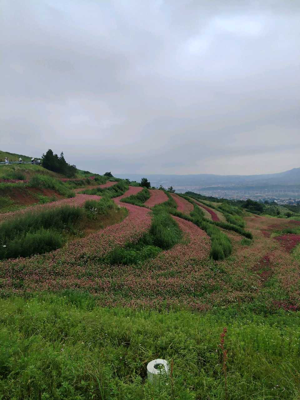 觌和其他(图2)