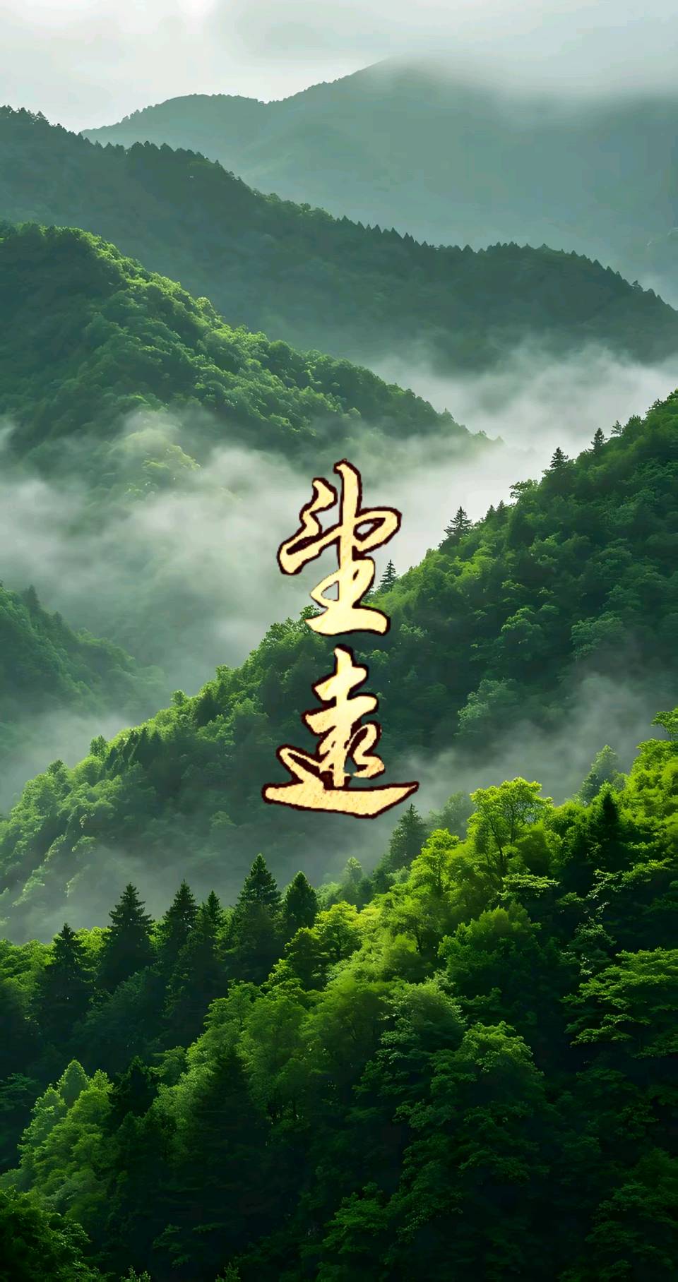 七律-大暑吟怀～史文（江苏）（图15）