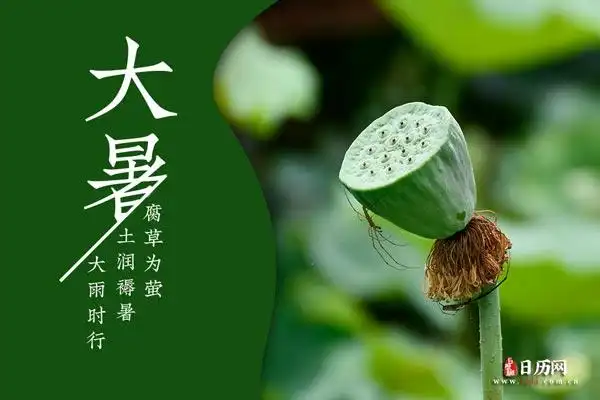 【夏韵抒怀】嵩嵩//七律•盛世大暑（图4）