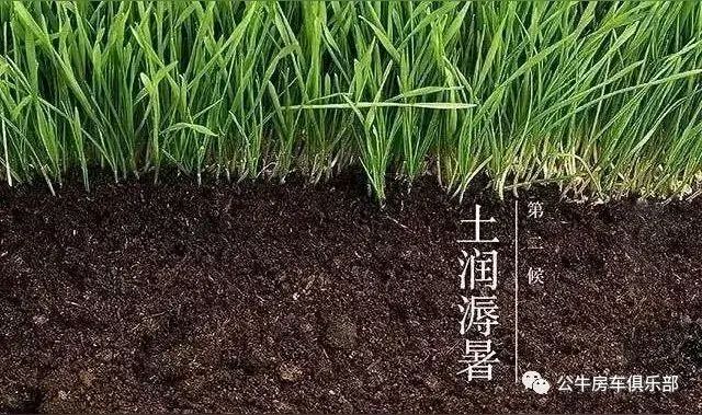 微型散文诗《大暑三候记》