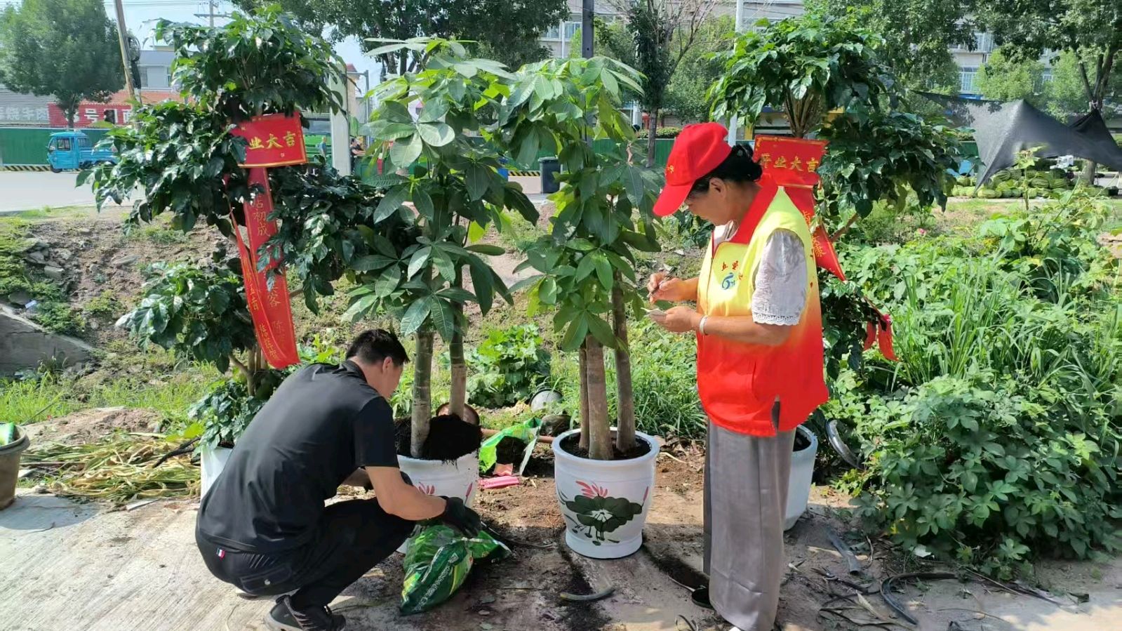 走访绿植经营户 倾听诉求助发展（图4）