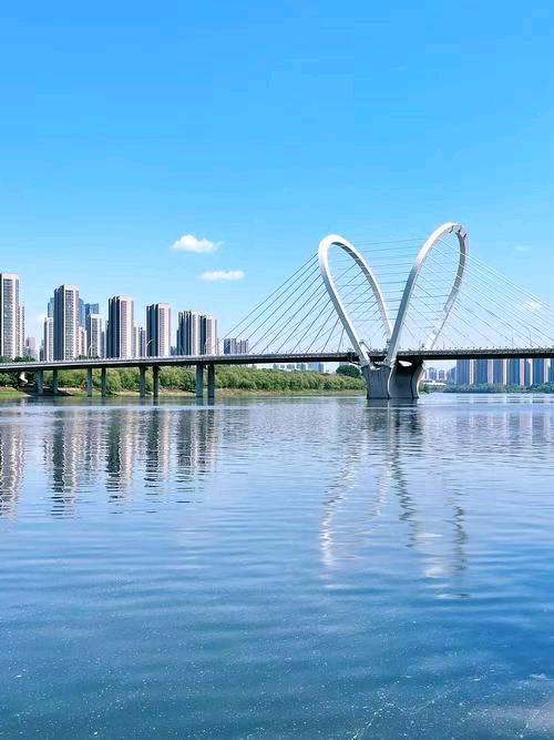 七古 . 雄奇辽沈•沈(神)龟退水/岸 峯(图10)