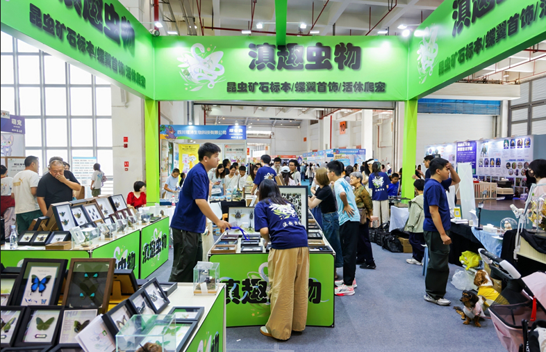 悦享消费正当时‖2026昆明宠物博览会开幕,激发春消费新活力(图3)