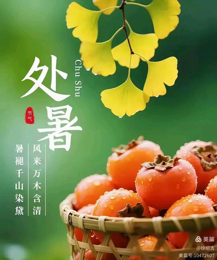 【老丫文苑】张国盛//五绝 盛夏笛箫狂//(广东)(图3)