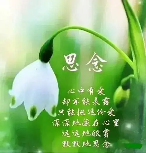 【昊昊海峽新幹線副刊】身臨仙境更相思(作者 : 昊昊/中國臺灣)……莲叶之珠文学社(图4)