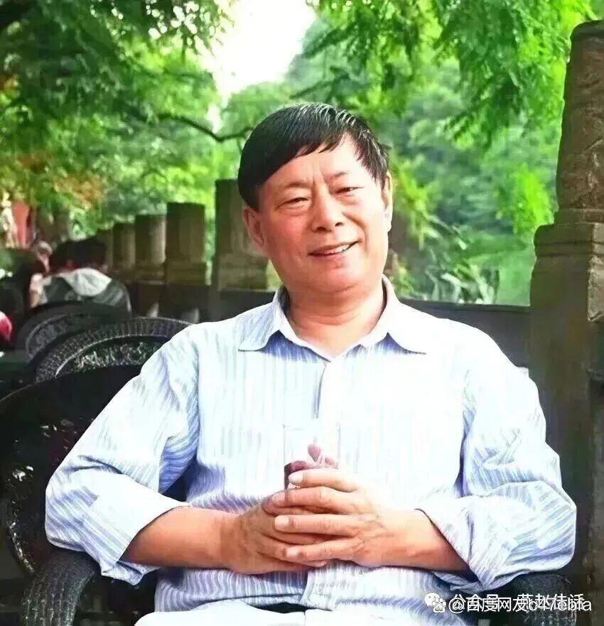 成安之路(九)专业领域肯登攀,组织社会予首肯(图2)