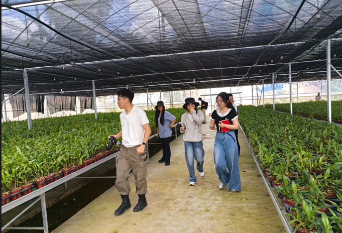 保山托起“群众家门口的幸福”(10)‖电商直播:“新农人”给家乡蹚出的幸福路(图6)