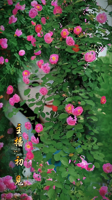 原 创《四十日长江死战，一个人救下一个国》作者：梁成芳丨主播：知音诗苑精英诵读团丨音频编配合成：乔 安丨总编：平 凡（图26）