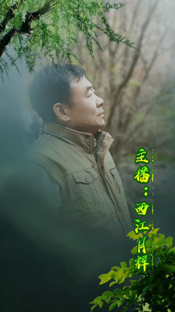 原 创《四十日长江死战，一个人救下一个国》作者：梁成芳丨主播：知音诗苑精英诵读团丨音频编配合成：乔 安丨总编：平 凡（图33）