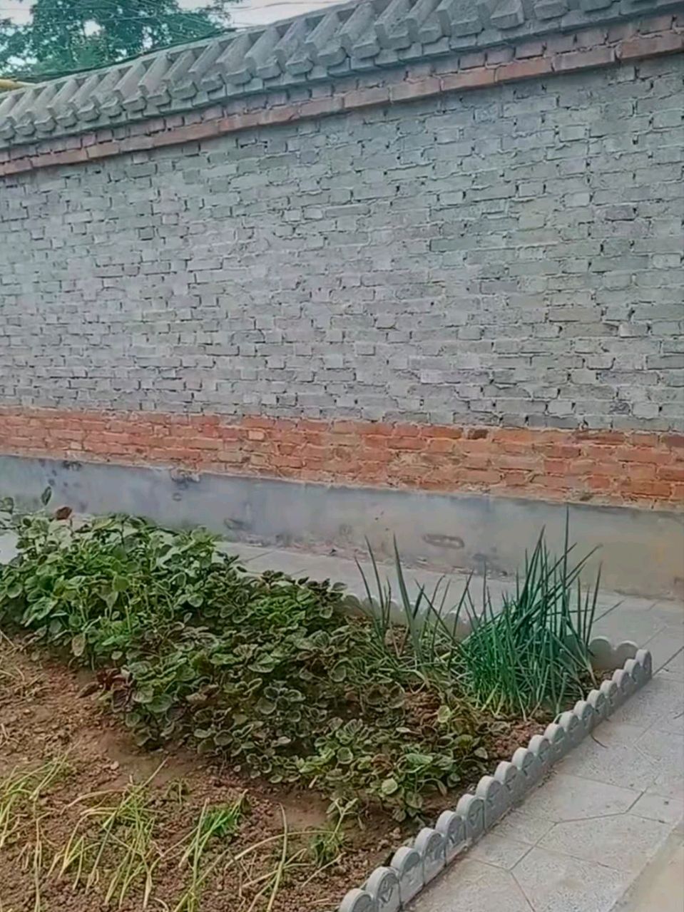 贺老宅重新整修(一)老宅焕新貌文/吴新改（图3）