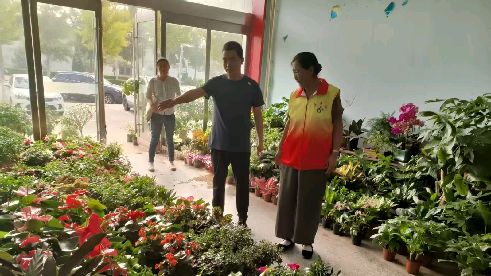 探访花卉经营门店 倾听绿植从业者心声（图3）