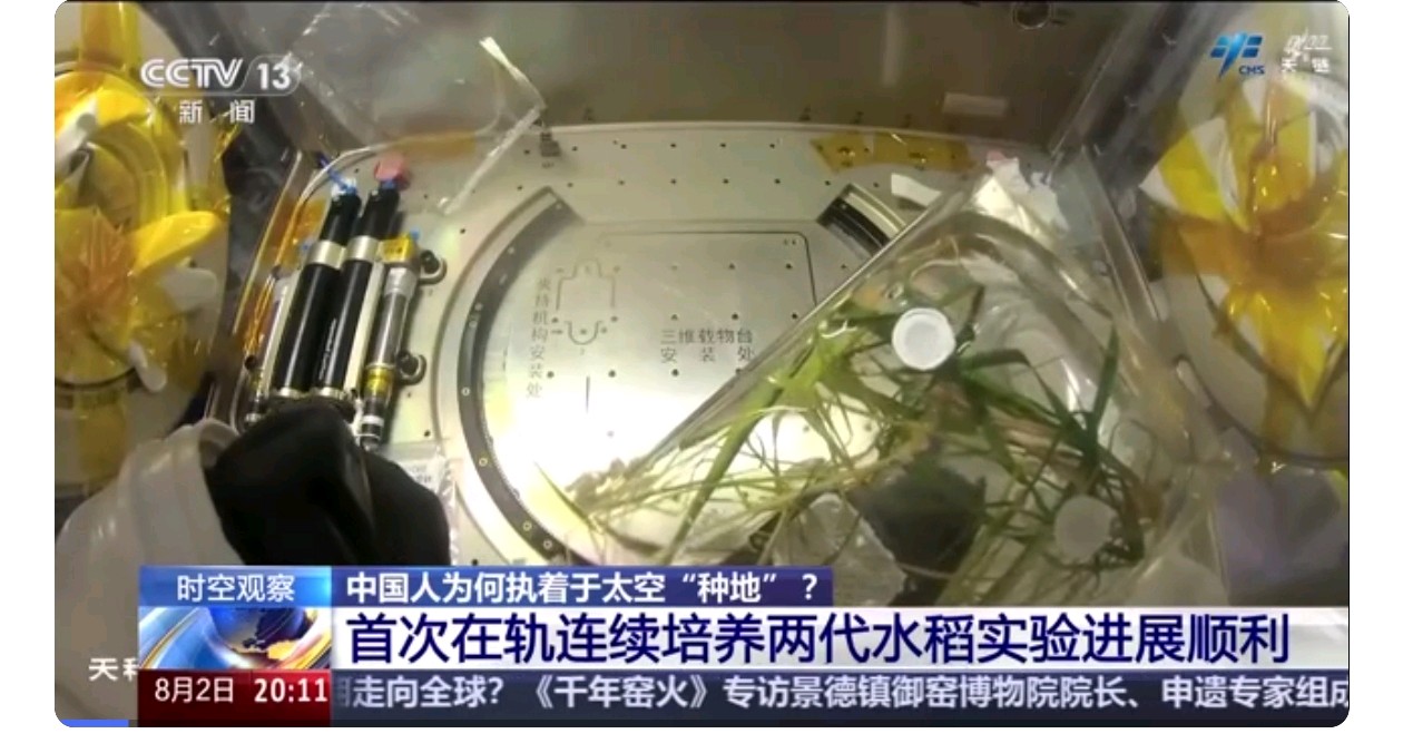 格律诗词《渔家傲·神舟二十三号水稻实验成功》 过客