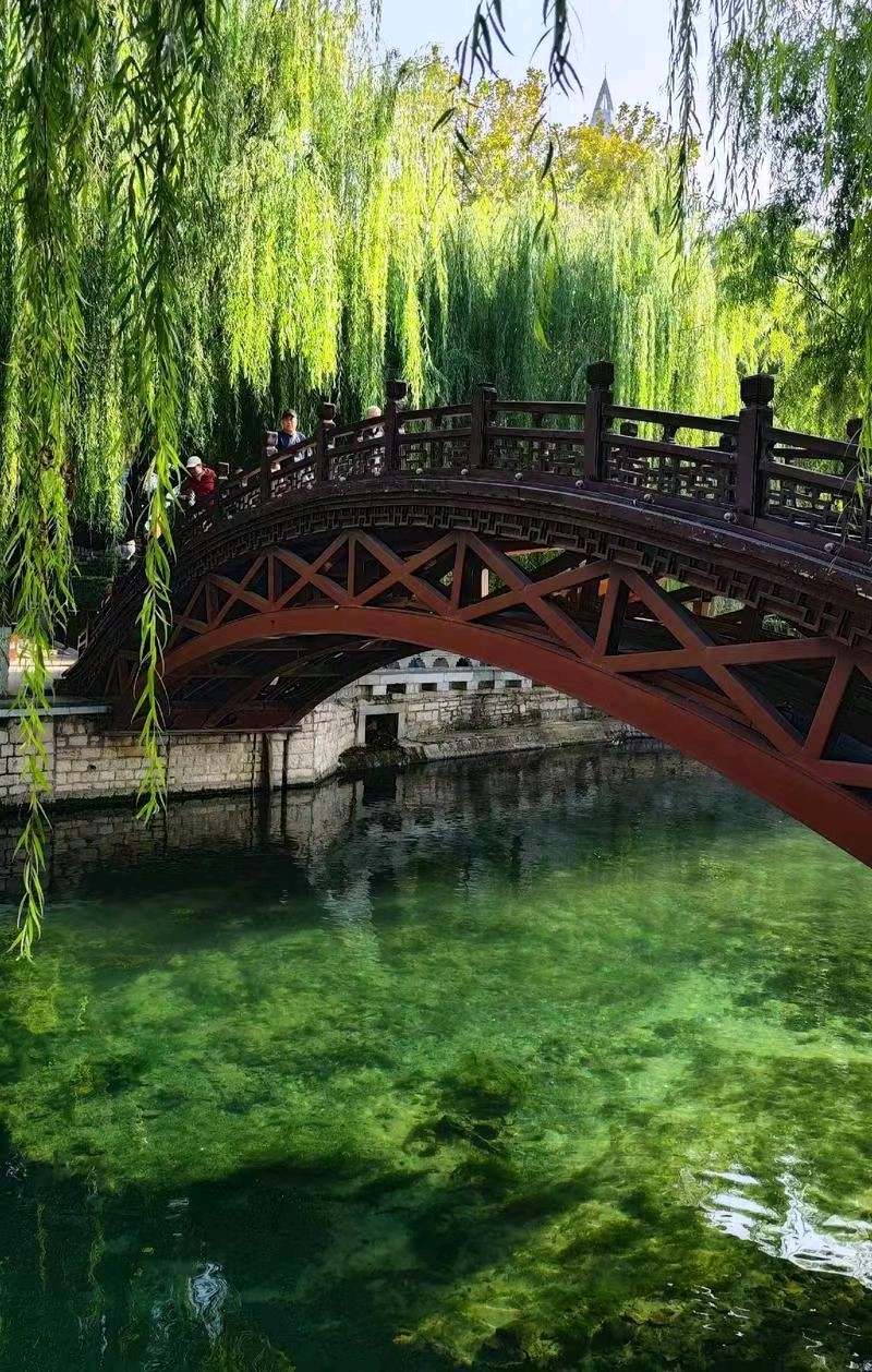 黑虎啸月.震撼泉城（图12）
