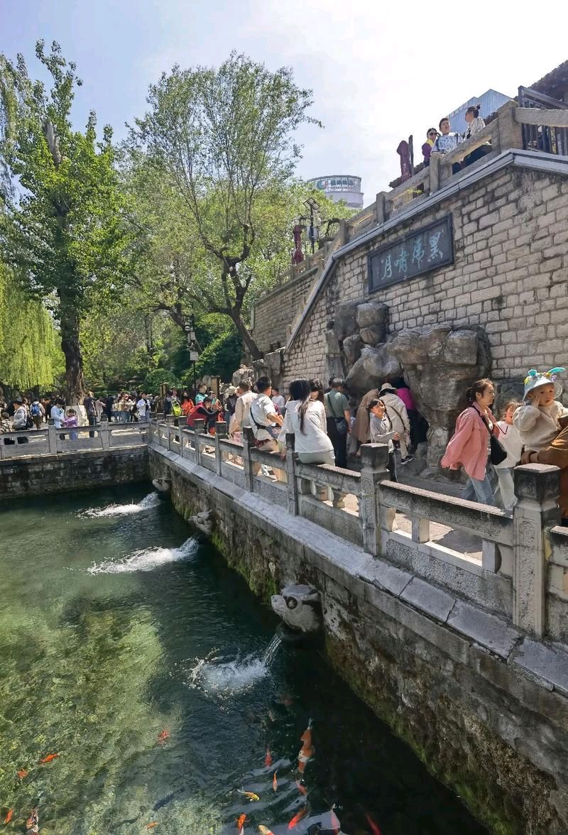 黑虎啸月.震撼泉城（图8）