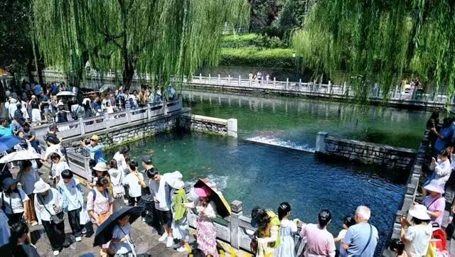 黑虎啸月.震撼泉城（图11）