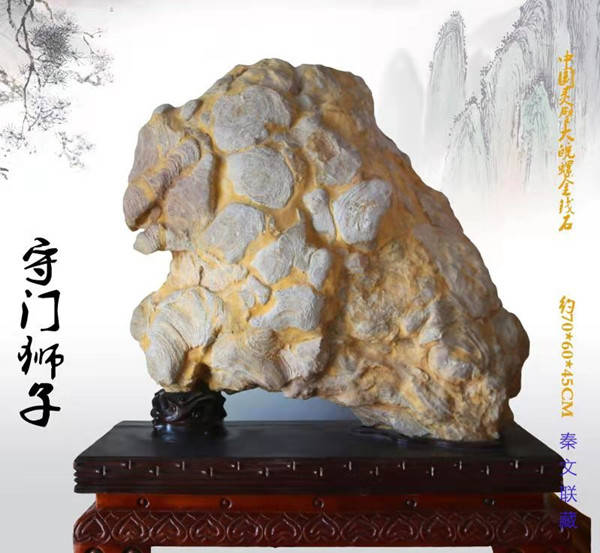什么成就了名石之三——关注度决定生死（图5）