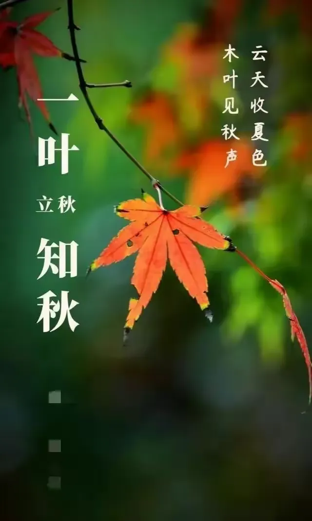 【荣耀中国】深圳分社*立秋文/王富保（图3）
