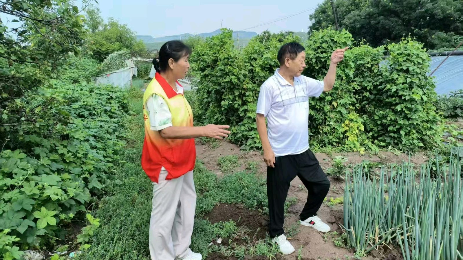 踏访田间察农情 志愿服务助农耕（图3）