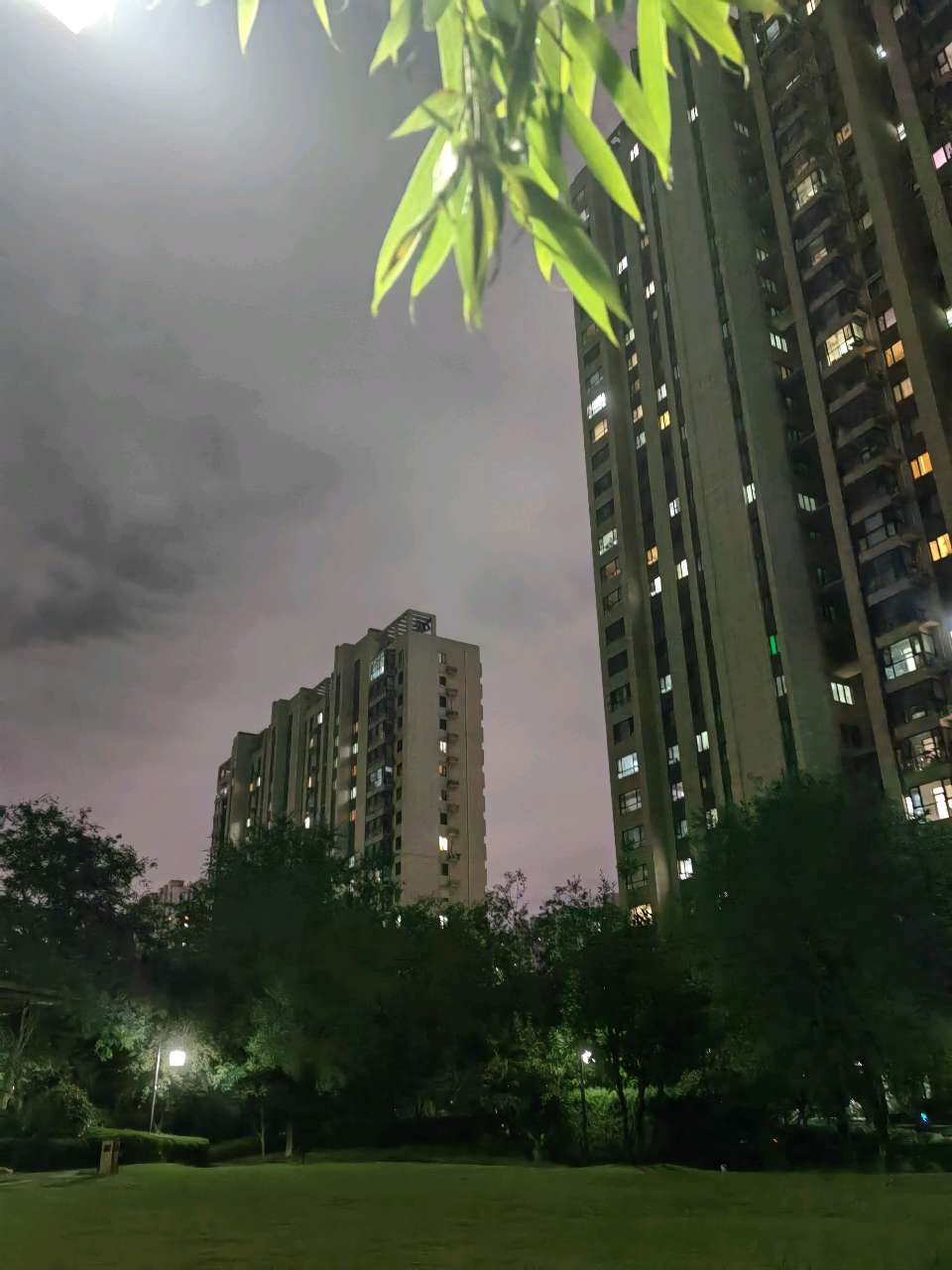 雨过晚风爽🌧（图7）