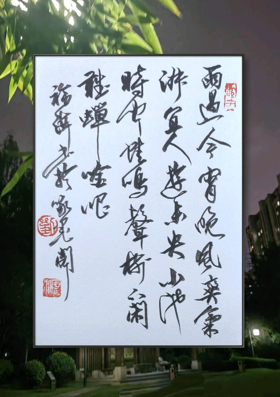 雨过晚风爽🌧