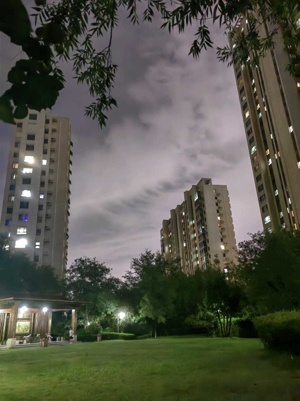 雨过晚风爽🌧（图8）