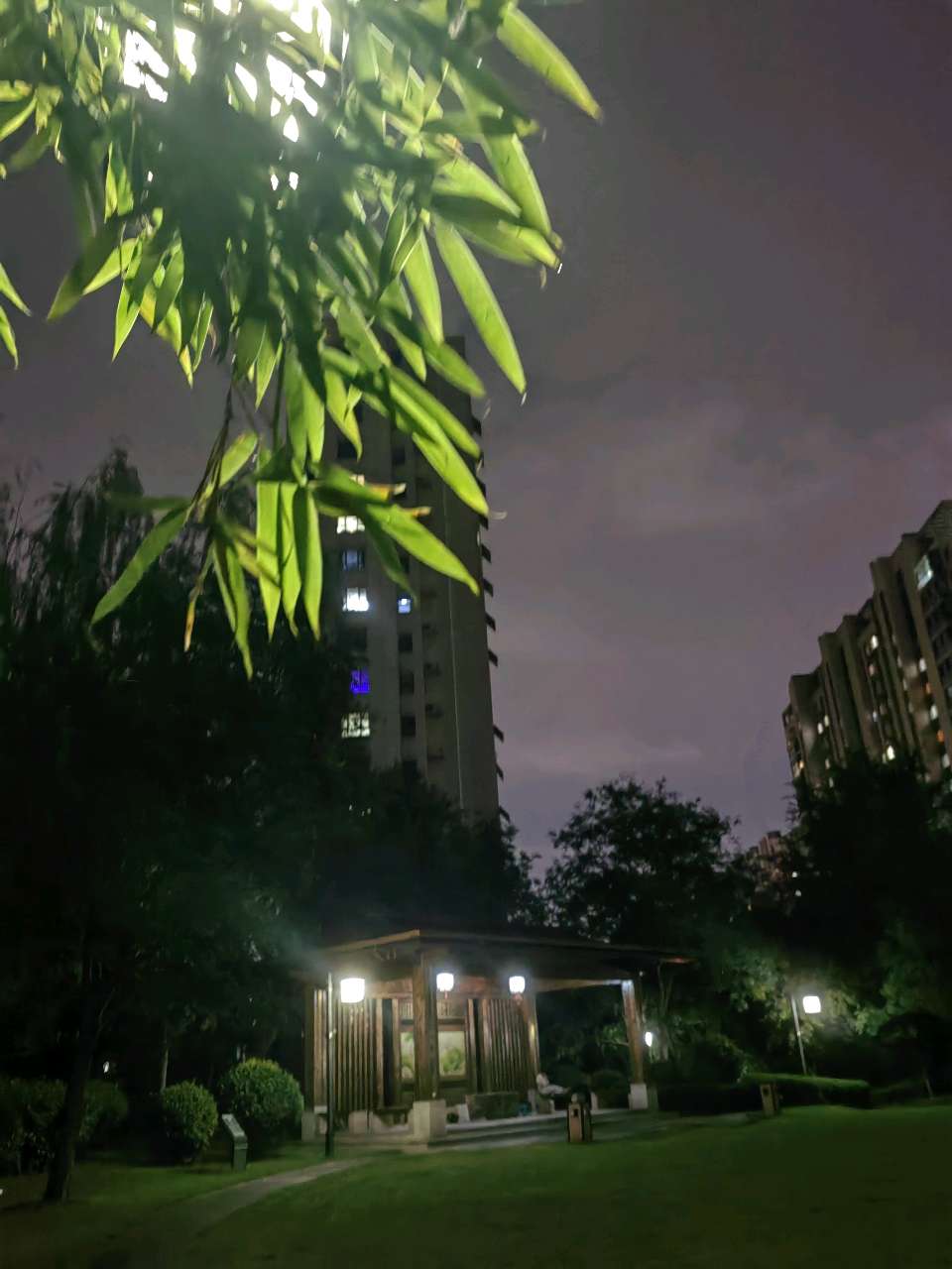 雨过晚风爽🌧（图10）