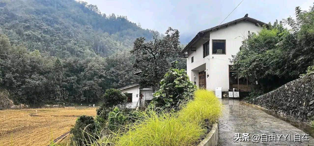 【荣耀中国】深圳分社*夏末有思吴宝树（广西）（图3）